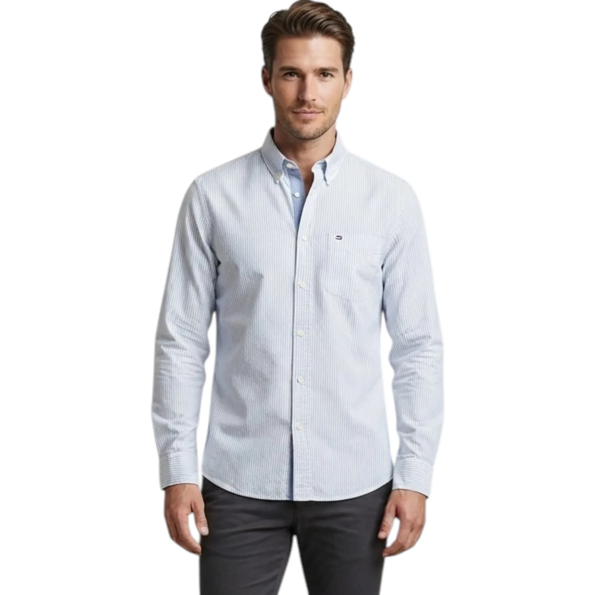 Tommy Hilfiger Mens Oxford Shirts