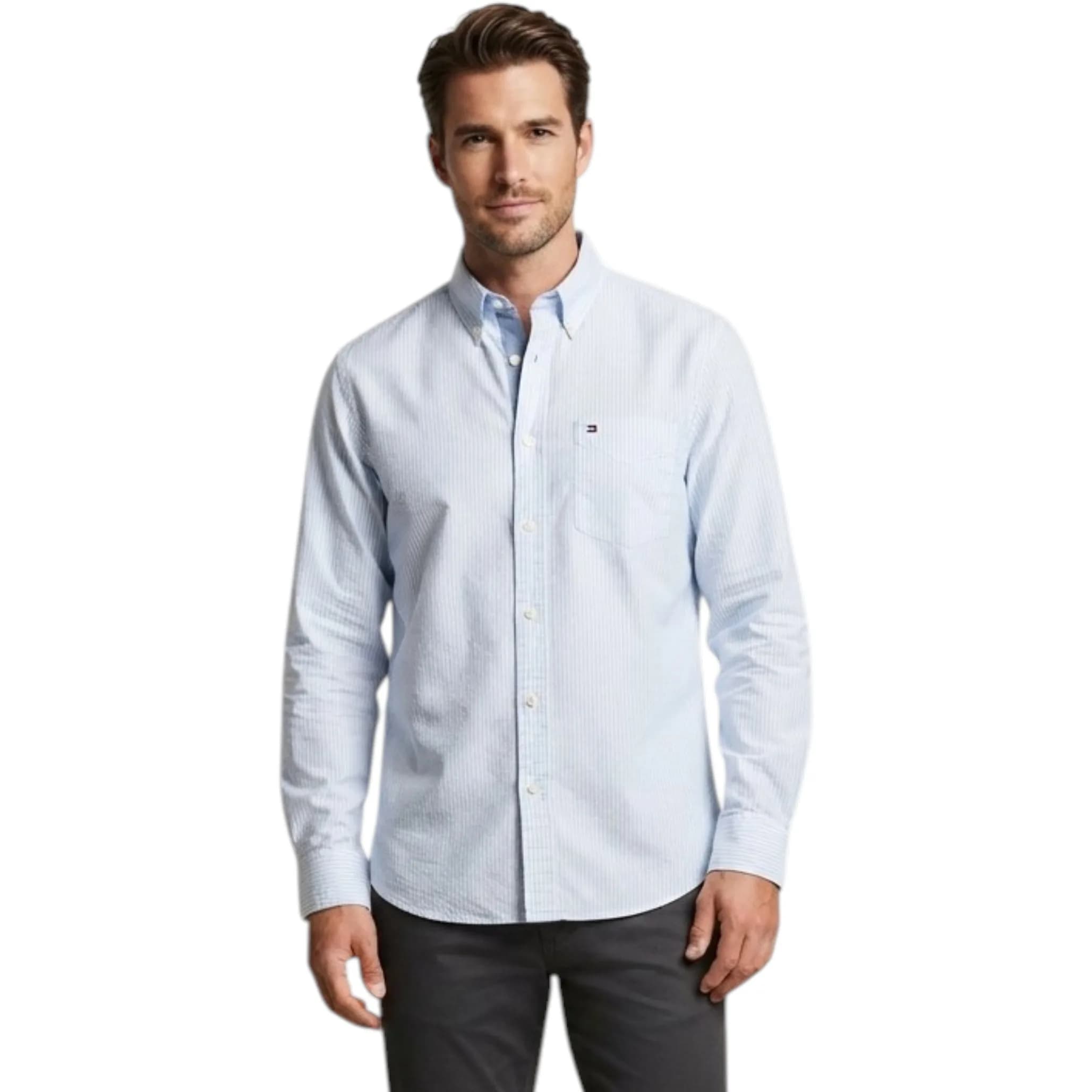 Tommy Hilfiger Mens Oxford Shirts