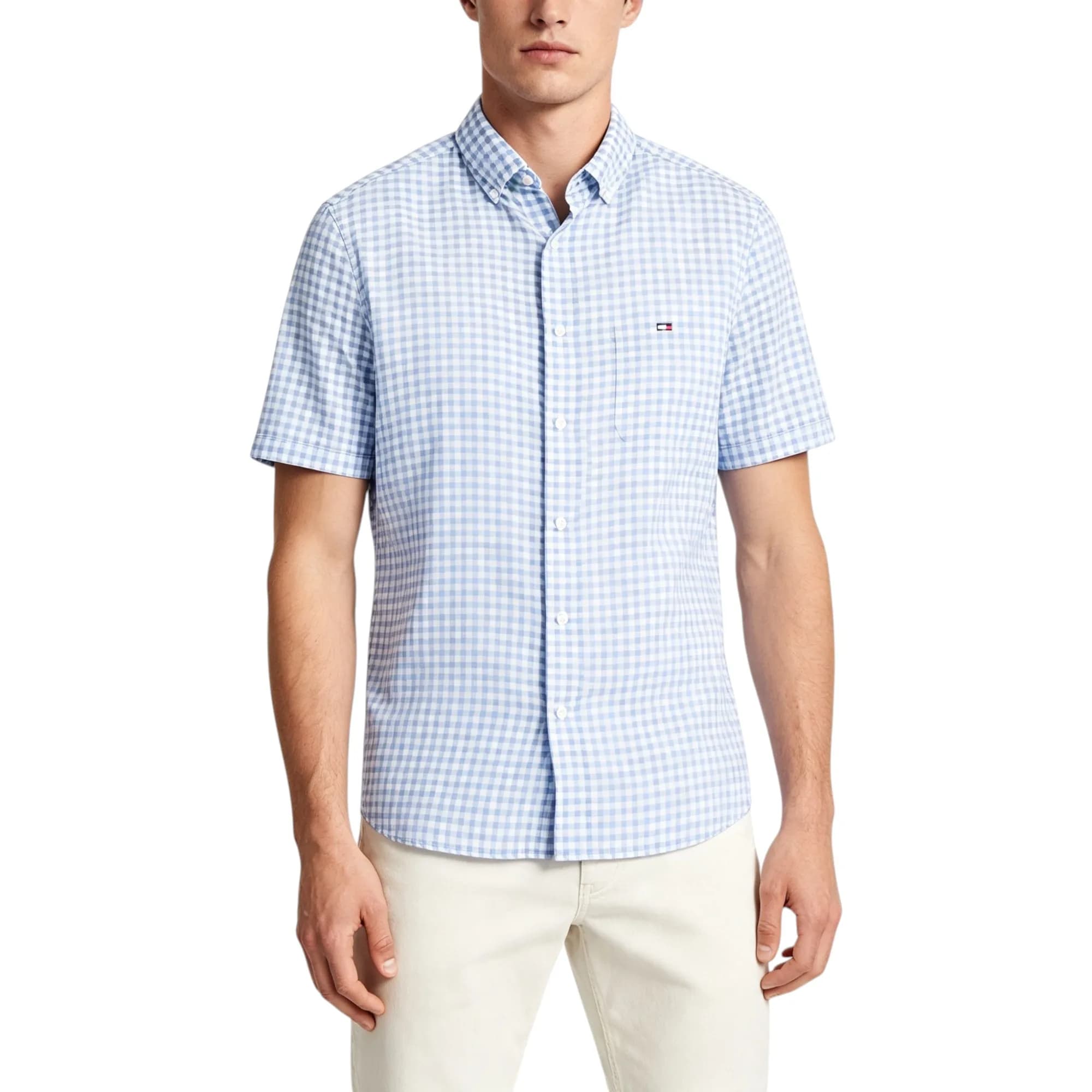 Tommy Hilfiger Mens Oxford Shirts