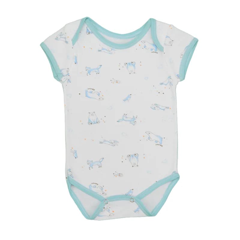 Baby Bodysuits 3-6 months
